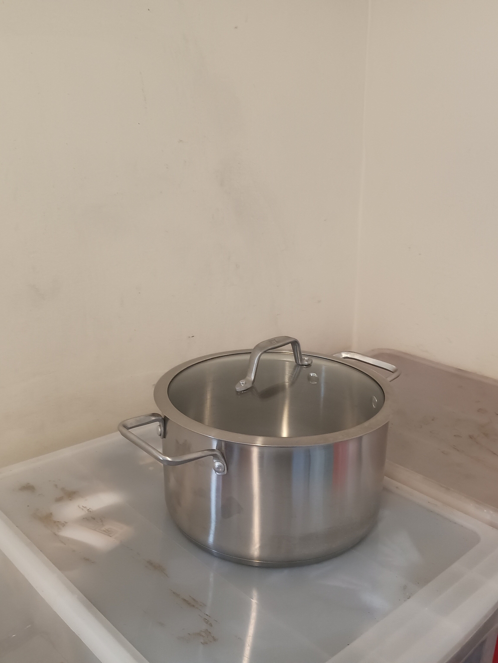 Classic Stainless Steel Stock Pot with Glass Lid - Silver